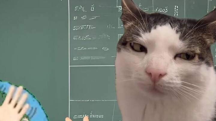 When you are knocked unconscious by the teacher #studentdays#againstthesky#catMeme