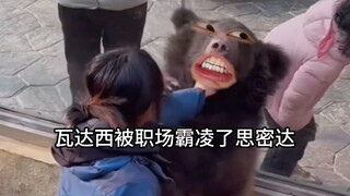 《职场霸凌》