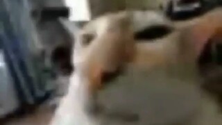 حسناً😺