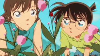 不要惹自己的女孩哭泣#新兰永恒 【新兰   工藤新一×毛利兰】