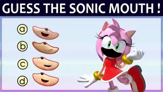 Sonic The Hedgehog 2 Quiz #156 |  Guess The Sonic Characters