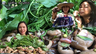 เก็บเห็ดขมมาก้อยกินแซ่บๆจ้า | แม่ชบาพาแซ่บบ