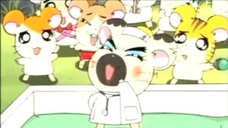 แฮมทาโร่ แก๊งจิ๋วผจญภัย ปี4 ตอนที่ 21