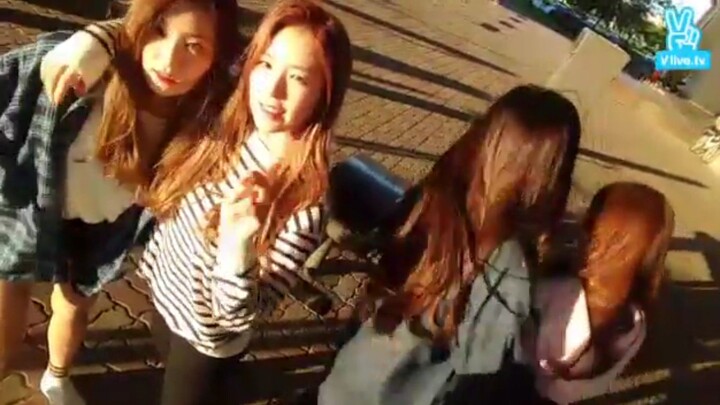 Red Velvet | VLive Camp...
