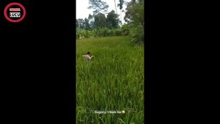 Kelakuan Warga Negara Indonesia Yang Absurd Dan Bikin Ngakak Parah Dehh Kelakuannya Absurd Banget