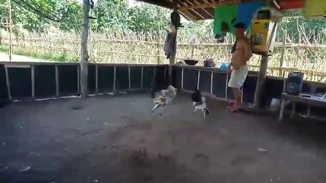 Sunday Spar 👌🏻