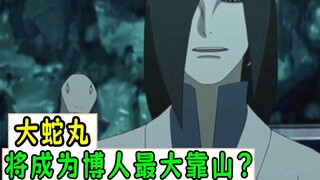 佐助变成“植物人”后，大蛇丸或将成为博人最大靠山？【火影杂谈】