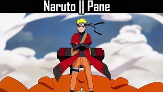 Naruto vs pane Fight