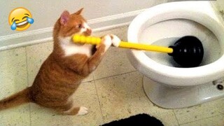 1 Hour Of Funniest Animals 😅 New Funny Cats and Dogs Videos 😸🐶