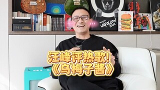 汪峰持续营业评价《乌梅子酱》