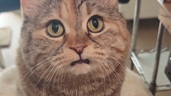 You're saying there's nothing for me to eat in your bowl?