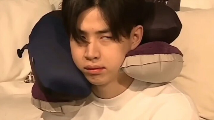 ไอดอลกรีนการ์ด: กฎเกณฑ์มากมายมาจากไหน