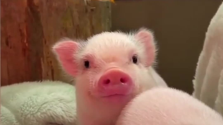 انسِ كل الهموم واطردها بعيدًا!