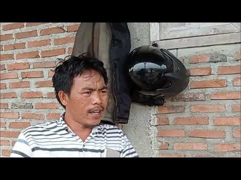 KINYAU MEMBUAT PUPUK ORGANIK