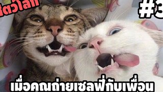 Ep3 สัตว์โลกกวนตีน - พากย์นรก easy boy