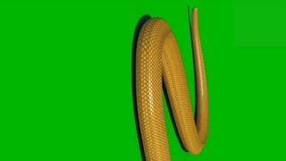 Green Screen Golden Half Tail Moving Desblazeheatnix
