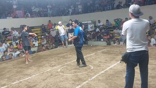 Boston millionaire and sweater 2 hits champ @ gentri cockpit arena, 11/08/2025