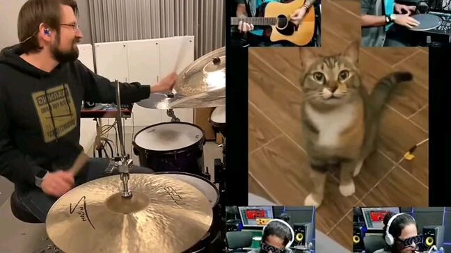 The morning cat song