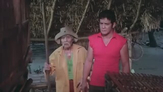 Pagbabalik Ng Panday 2 FPJ