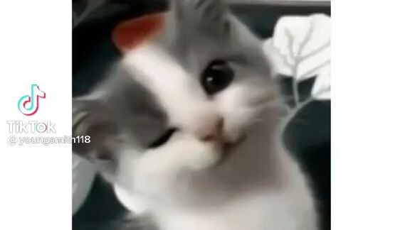 secret codes to your love♥️🤫