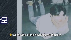 haorae