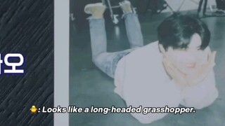 haorae