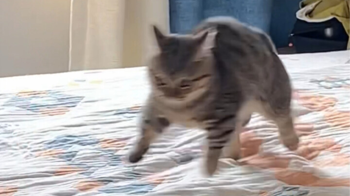 أنا مشغول جدًا! أنا أشارك في الألعاب الرياضية