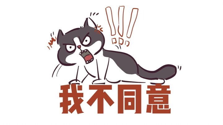It’s so hard to help a smart little cat lose weight!