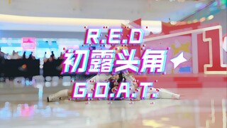 【R.E.D-G.O.A.T】kpop随舞里唯一一支中文歌？？染色体女团 百分百出品 goat 翻跳