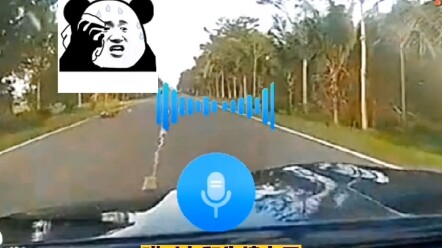 اصطدمت السيارة بالبقرة، وانطلقت مكالمة الطوارئ.