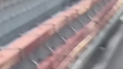 Big brother’s shared bike is pedaling so fast it’s practically smoking!