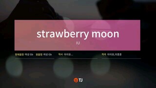 IU - STRAWBERRY MOON (KARAOKE)