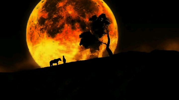 alone