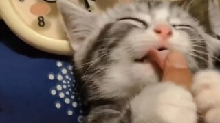 Keahlian ajaib Mimi untuk tertidur dalam satu detik