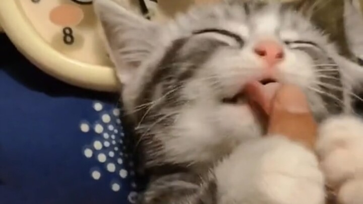 Mimi's magical skill of falling asleep in one second