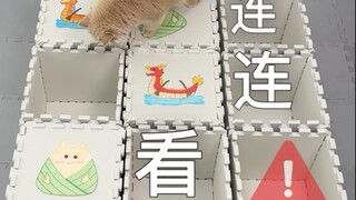 العاب التوصيل (نسخة عيد قوارب التنين للقطط)