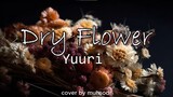 Yuuri - Dry Flower | Short Ver.| cover by muhsodr
