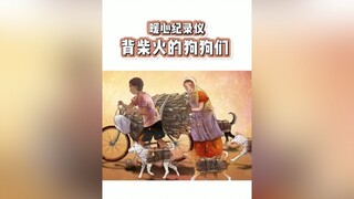 Good boy không phải cố😄 cute Hello2022