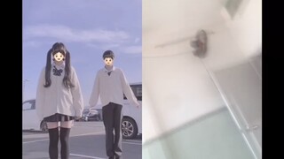 44