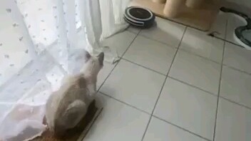 180℃弹射回旋跳