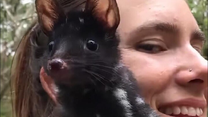 “Nasi Goreng Kuat” Imut yang Penuh Nuansa Kekerasan