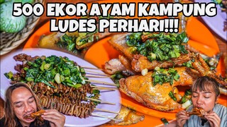 500 Ekor AYAM GORENG LUDES tiap hari disini! SAMBEL NYA BIKIN JONTOR