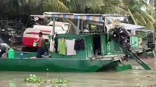 Sông Nước Quê Em - Tới Mùa Gặt Lúa