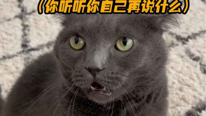 Cats and dogs: Not a single grain of food is eaten for free.