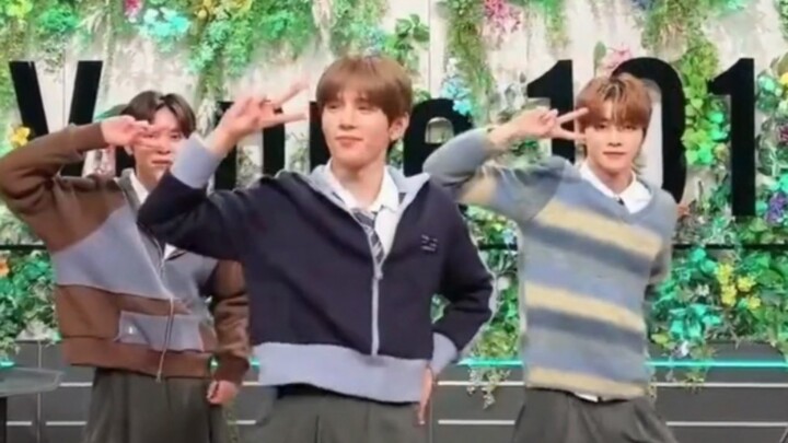 Taro arrives, bringing with him a little tune from his hometown.