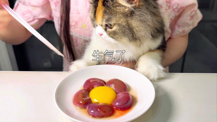 Chewing on this giant rabbit kidney actually tastes so… treeee-ee!