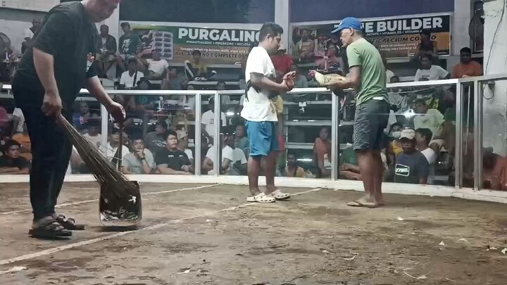 boss Ayan entry first fight dec11 culis cock fit arena