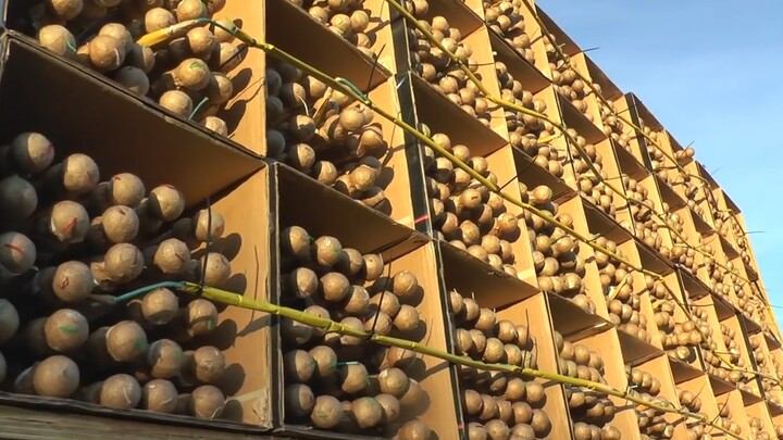 [British madman] used 1,000 rocket fireworks to destroy a missile tank