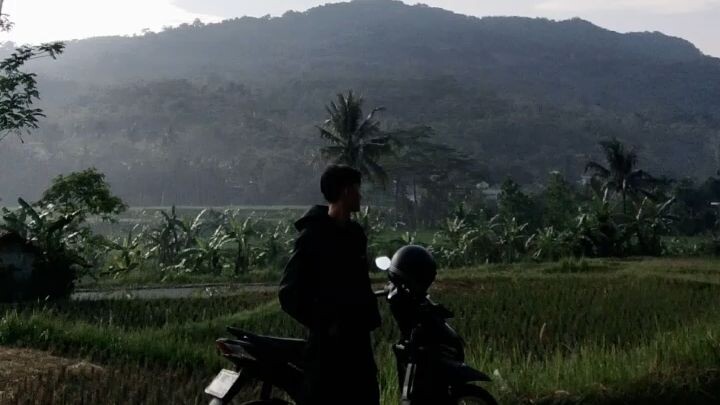 alam indah suka makmur