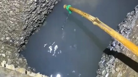 捉螃蟹🦀